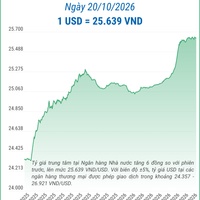 (Interactive) Tỷ giá trung tâm ngày 20/10/2026: 1 USD = 25.639 VND