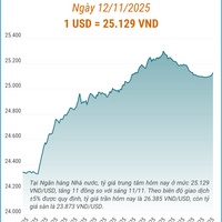 (Interactive) Tỷ giá trung tâm ngày 12/11/2025: 1 USD = 25.129 VND