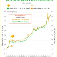 (Interactive) Giá vàng miếng sáng 2/3/2026