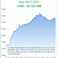 (Interactive) Tỷ giá trung tâm ngày 8/12/2025: 1 USD = 25.152 VND