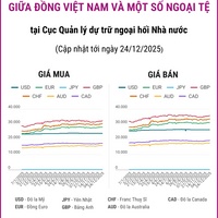 (Interactive) Tỷ giá tham khảo giữa Đồng Việt Nam và một số ngoại tệ ngày 24/12/2025