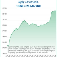 (Interactive) Tỷ giá trung tâm ngày 14/10/2026: 1 USD = 25.646 VND