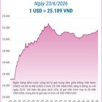 (Interactive) Tỷ giá trung tâm ngày 23/6/2026: 1 USD = 25.189 VND