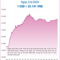 (Interactive) Tỷ giá trung tâm ngày 2/6/2026: 1 USD = 25.141 VND