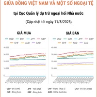 (Interactive) Tỷ giá tham khảo giữa Đồng Việt Nam và một số ngoại tệ ngày...