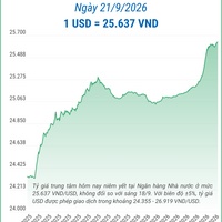 (Interactive) Tỷ giá trung tâm ngày 21/9/2026: 1 USD = 25.637 VND