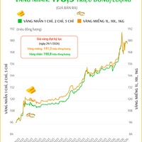 (Interactive) Giá vàng miếng sáng 13/2/2026