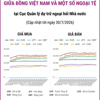 (Interactive) Tỷ giá tham khảo giữa Đồng Việt Nam và một số ngoại tệ ngày...