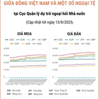 (Interactive) Tỷ giá tham khảo giữa Đồng Việt Nam và một số ngoại tệ ngày 13/8/2025