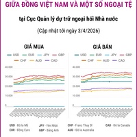 (Interactive) Tỷ giá tham khảo giữa Đồng Việt Nam và một số ngoại tệ ngày 3/4/2026