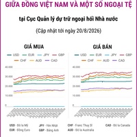 (Interactive) Tỷ giá tham khảo giữa Đồng Việt Nam và một số ngoại tệ ngày...
