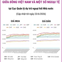 (Interactive) Tỷ giá tham khảo giữa Đồng Việt Nam và một số ngoại tệ ngày 23/6/2026