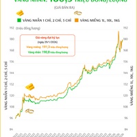 (Interactive) Giá vàng miếng sáng 10/2/2026