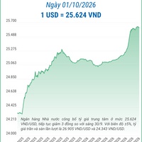 (Interactive) Tỷ giá trung tâm ngày 1/10/2026: 1 USD = 25.624 VND