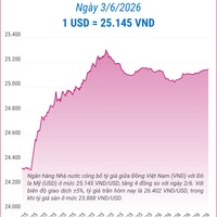 (Interactive) Tỷ giá trung tâm ngày 3/6/2026: 1 USD = 25.145 VND