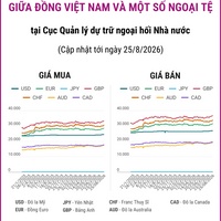 (Interactive) Tỷ giá tham khảo giữa Đồng Việt Nam và một số ngoại tệ ngày 25/8/2026