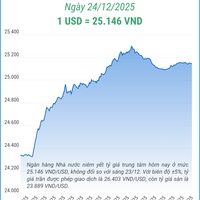 (Interactive) Tỷ giá trung tâm ngày 24/12/2025: 1 USD = 25.146 VND