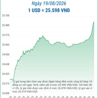 (Interactive) Tỷ giá trung tâm ngày 19/8/2026: 1 USD = 25.598 VND