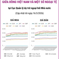 (Interactive) Tỷ giá tham khảo giữa Đồng Việt Nam và một số ngoại tệ ngày...