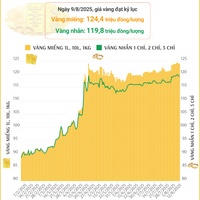 (Interactive) Sáng ngày 12/8/2025: Giá vàng nhẫn giảm nhẹ, ở mức 119 triệu đồng/lượng