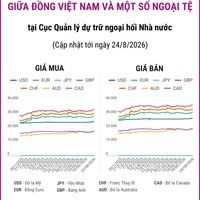 (Interactive) Tỷ giá tham khảo giữa Đồng Việt Nam và một số ngoại tệ ngày 24/8/2026