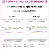 (Interactive) Tỷ giá tham khảo giữa Đồng Việt Nam và một số ngoại tệ ngày 20/1/2026