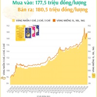 (Interactive) Giá vàng nhẫn sáng 10/2/2026