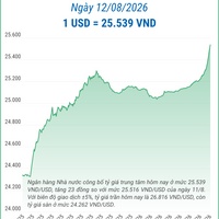 (Interactive) Tỷ giá trung tâm ngày 12/8/2026: 1 USD = 25.539 VND
