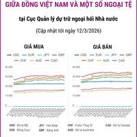 (Interactive) Tỷ giá tham khảo giữa Đồng Việt Nam và một số ngoại tệ ngày 12/3/2026