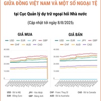 (Interactive) Tỷ giá tham khảo giữa Đồng Việt Nam và một số ngoại tệ ngày 8/8/2025