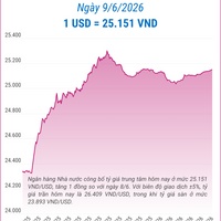 (Interactive) Tỷ giá trung tâm ngày 9/6/2026: 1 USD = 25.151 VND