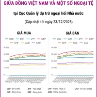(Interactive) Tỷ giá tham khảo giữa Đồng Việt Nam và một số ngoại tệ ngày 23/12/2025
