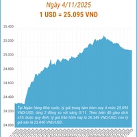 (Interactive) Tỷ giá trung tâm ngày 4/11/2025: 1 USD = 25.095 VND