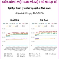 (Interactive) Tỷ giá tham khảo giữa Đồng Việt Nam và một số ngoại tệ ngày 26/5/2026