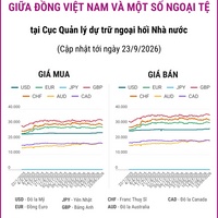 (Interactive) Tỷ giá tham khảo giữa Đồng Việt Nam và một số ngoại tệ ngày 23/9/2026