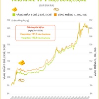 (Interactive) Giá vàng miếng sáng 20/3/2026