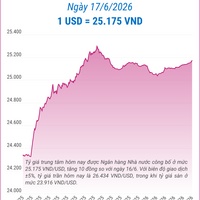 (Interactive) Tỷ giá trung tâm ngày 17/6/2026: 1 USD = 25.175 VND