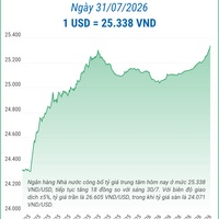 (Interactive) Tỷ giá trung tâm ngày 31/7/2026: 1 USD = 25.338 VND