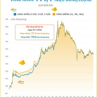 (Interactive) Giá vàng miếng sáng 24/9/2026