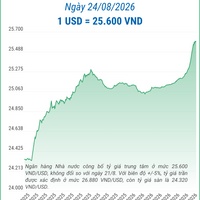 (Interactive) Tỷ giá trung tâm ngày 24/8/2026: 1 USD = 25.600 VND