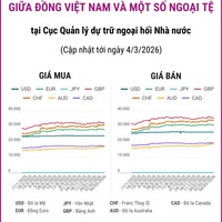 (Interactive) Tỷ giá tham khảo giữa Đồng Việt Nam và một số ngoại tệ ngày 4/3/2026