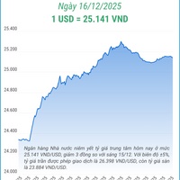 (Interactive) Tỷ giá trung tâm ngày 16/12/2025: 1 USD = 25.141 VND