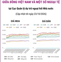 (Interactive) Tỷ giá tham khảo giữa Đồng Việt Nam và một số ngoại tệ ngày 23/10/2026