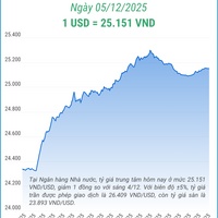 (Interactive) Tỷ giá trung tâm ngày 5/12/2025: 1 USD = 25.151 VND