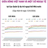 (Interactive) Tỷ giá tham khảo giữa Đồng Việt Nam và một số ngoại tệ ngày...