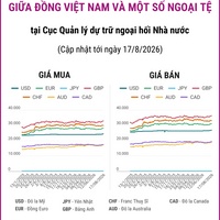 (Interactive) Tỷ giá tham khảo giữa Đồng Việt Nam và một số ngoại tệ ngày...