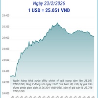(Interactive) Tỷ giá trung tâm ngày 23/2/2026: 1 USD = 25.051 VND