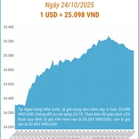(Interactive) Tỷ giá trung tâm ngày 24/10/2025: 1 USD = 25.098 VND