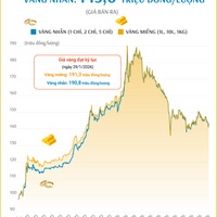 (Interactive) Giá vàng miếng sáng 30/9/2026