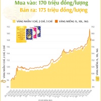 (Interactive) Giá vàng nhẫn sáng 3/2/2026